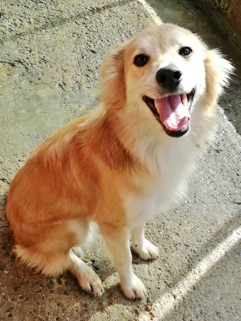 Lucky taglia piccola