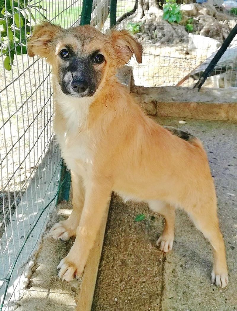 Martina taglia medio contenuta