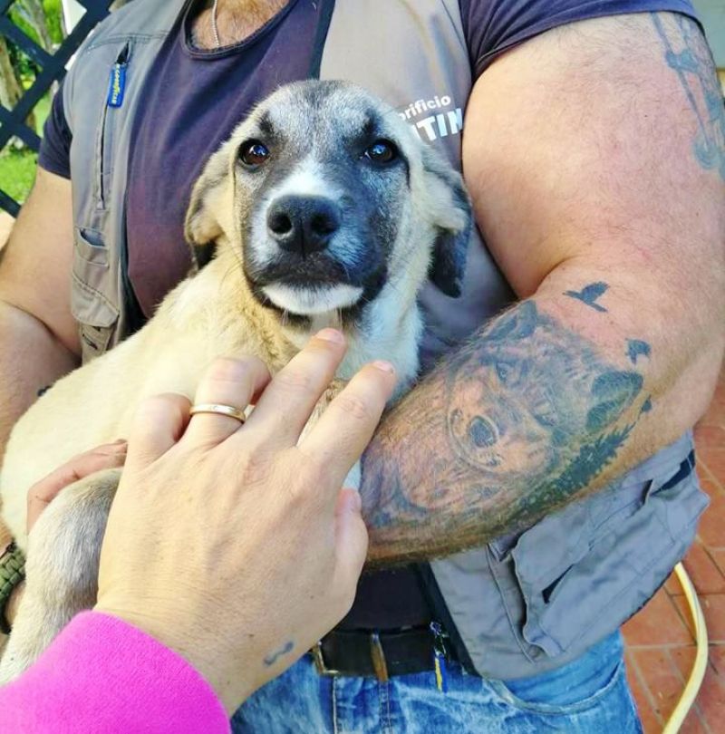 Benny taglia medi contenuta