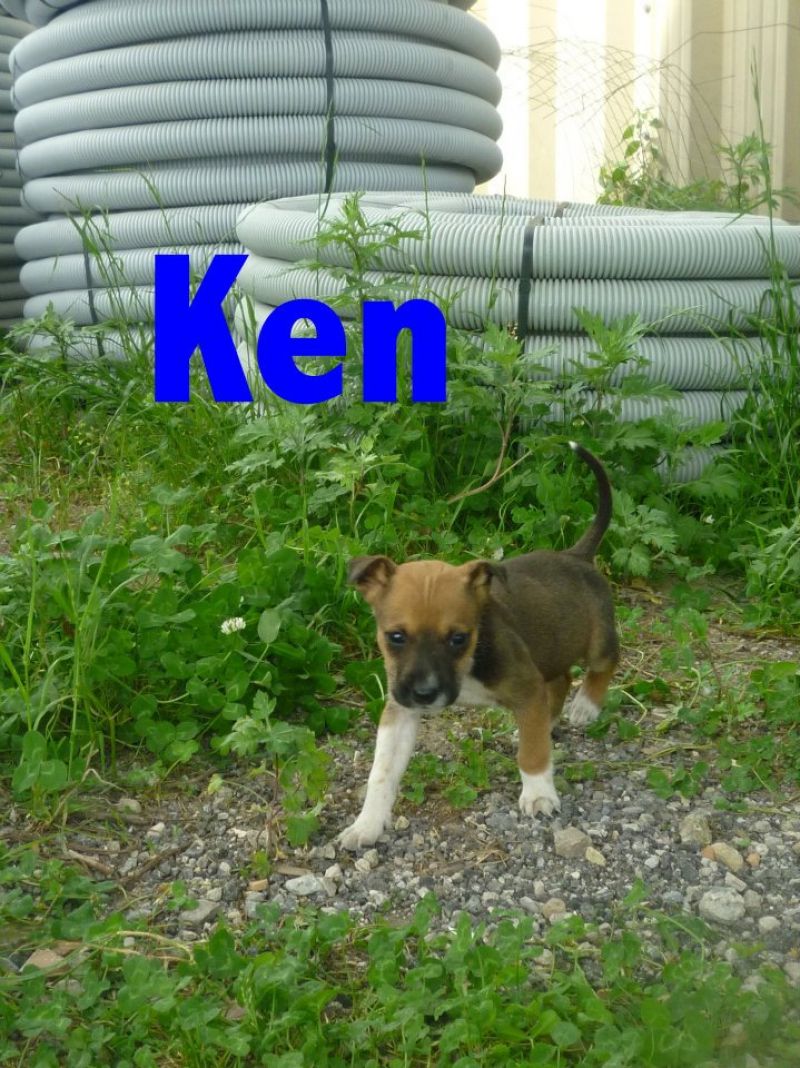 ken