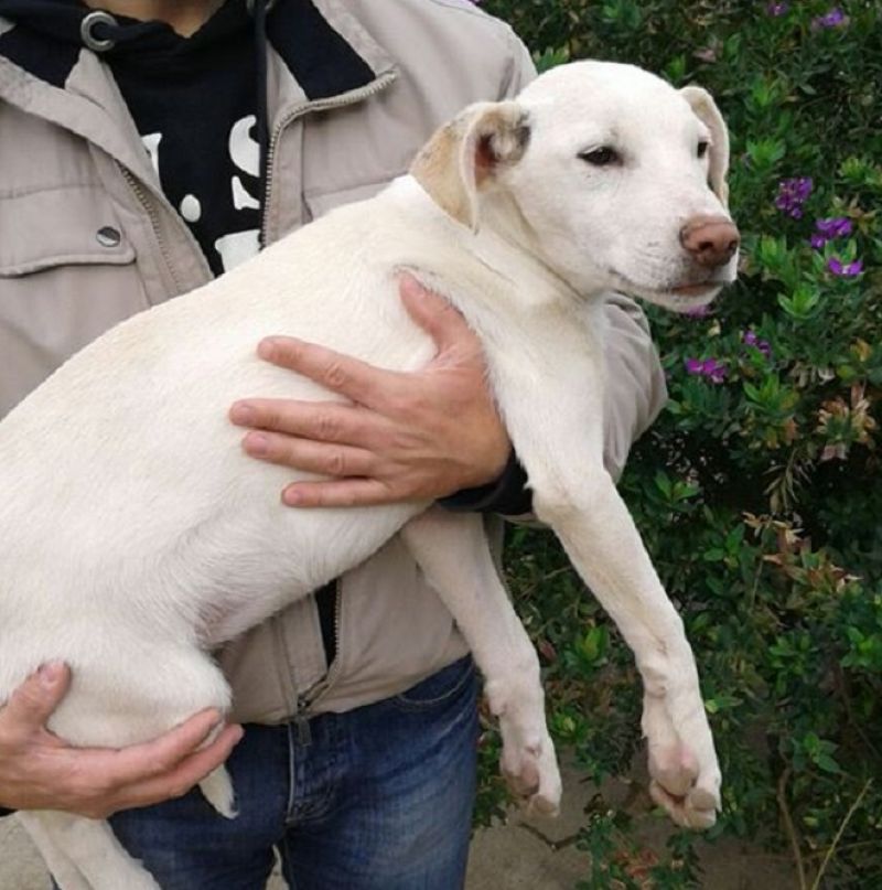 Casper