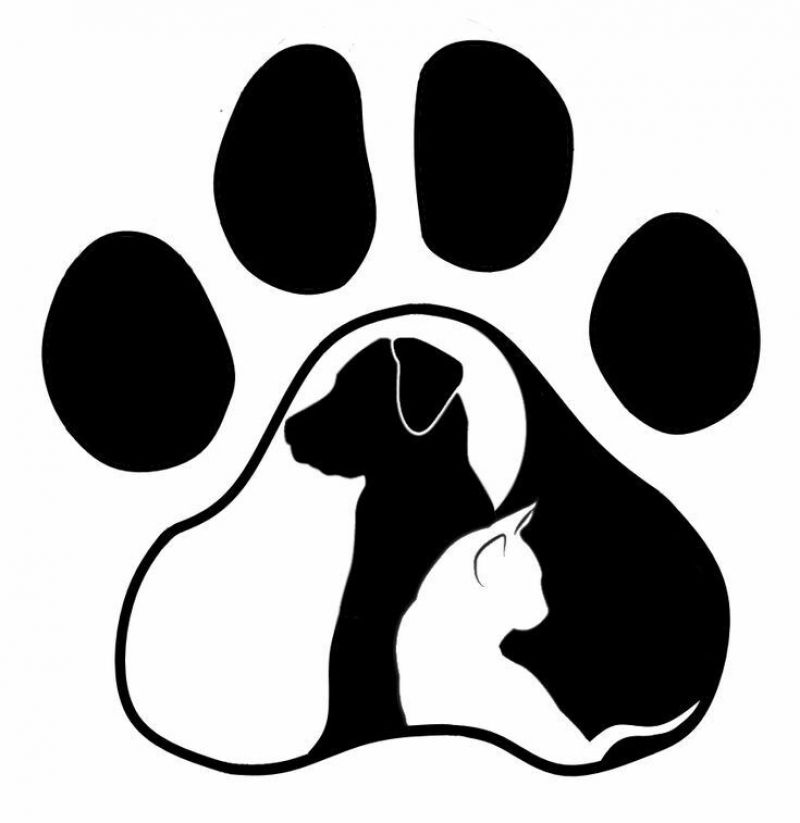 Dog sitter/Cat sitter/Dog sitter socia Enpa con esperienza pluriennale