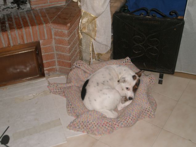 sento freddo, mi copri?