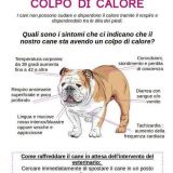 Cartelli di attenzione