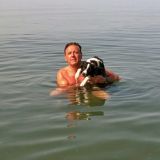Mare