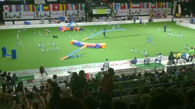 Mondiali agility