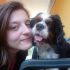 Cerco Cavalier King femmina da adottare