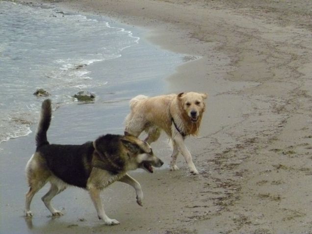 al mare, ma solo con mio fratello!!!