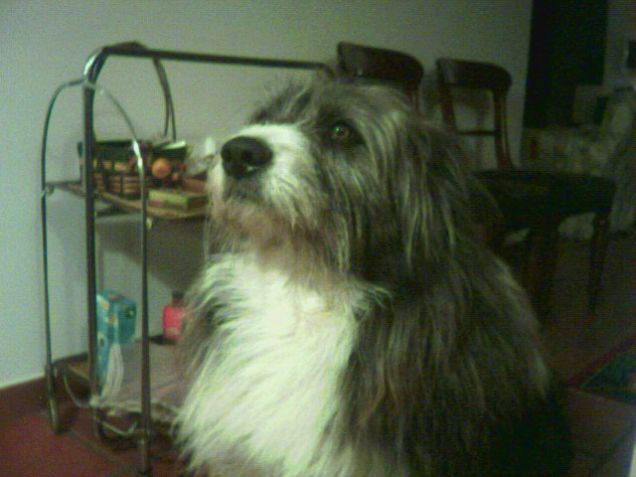 ... mi dai un pezzo di pane?