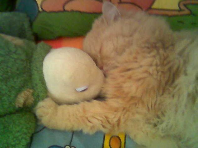 Nembo e il suo peluche!