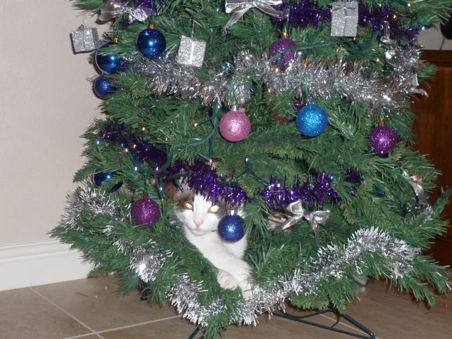 il natale è sempre un delirio!!!