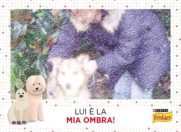 Sono pronto x una lunga corsa