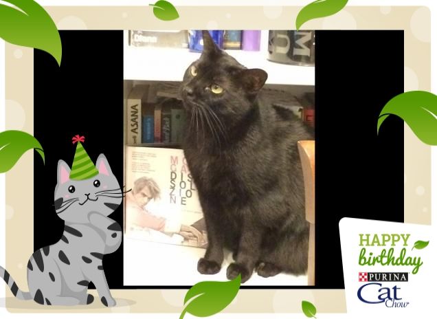 chisssà cosa vorrà Dea ....