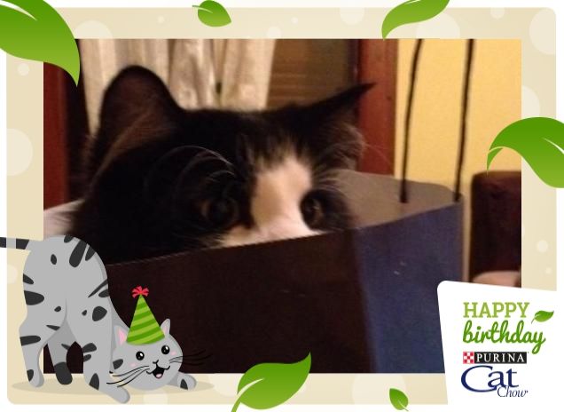 Da qui non mi vede nessuno!