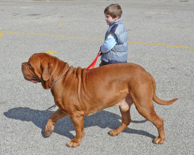 IL MIO GRANDE AMICO..........