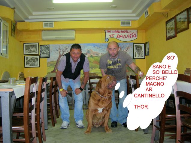 THOR AL RISTORANTE