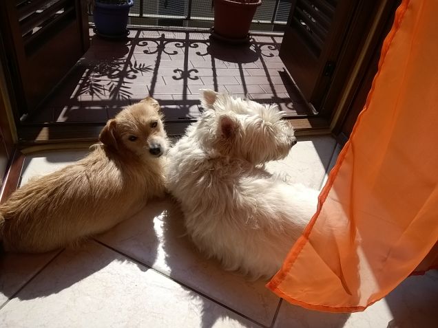 Hurricane Kelly e Sissy