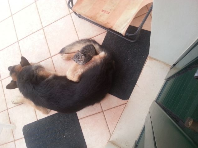 Igor sei come un piumino!