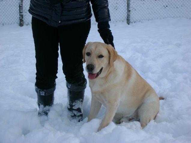 che bella la neve.......