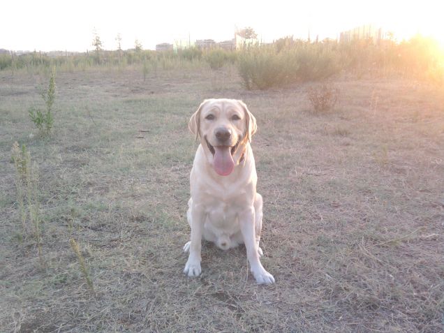 Che bel tramonto pero' ettore e' piu' bello.