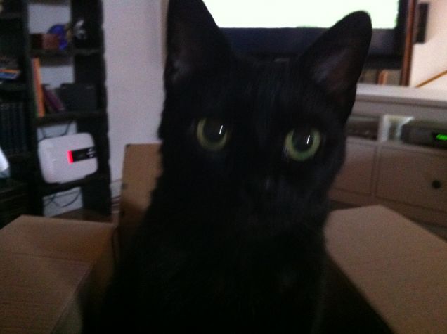 In mezzo alle scatole