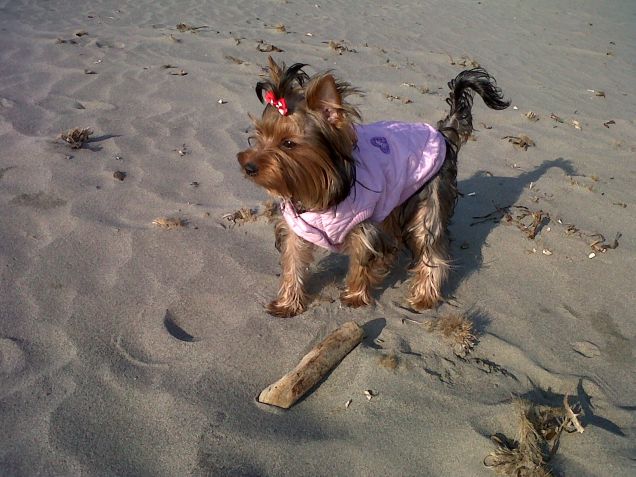 Lilly in spiaggia