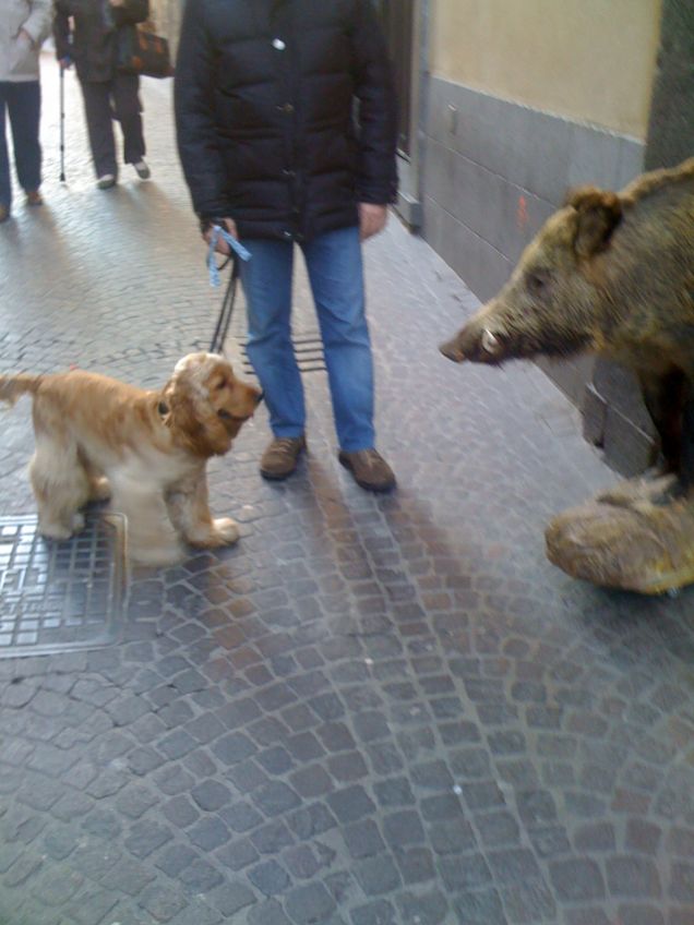 una domenica a spasso