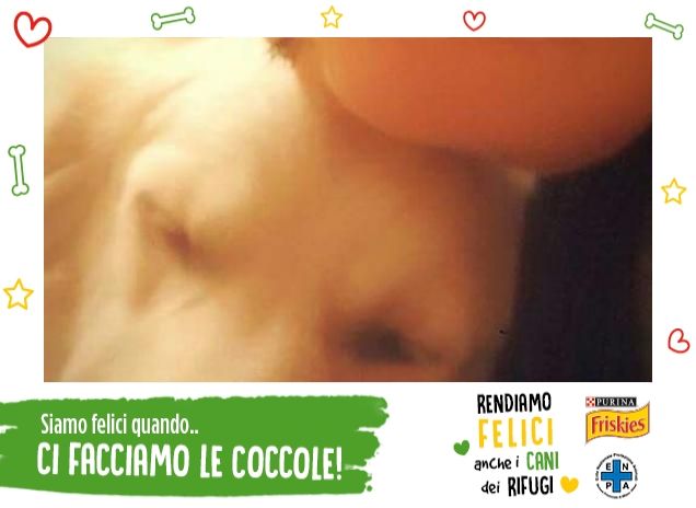 una carica di coccole