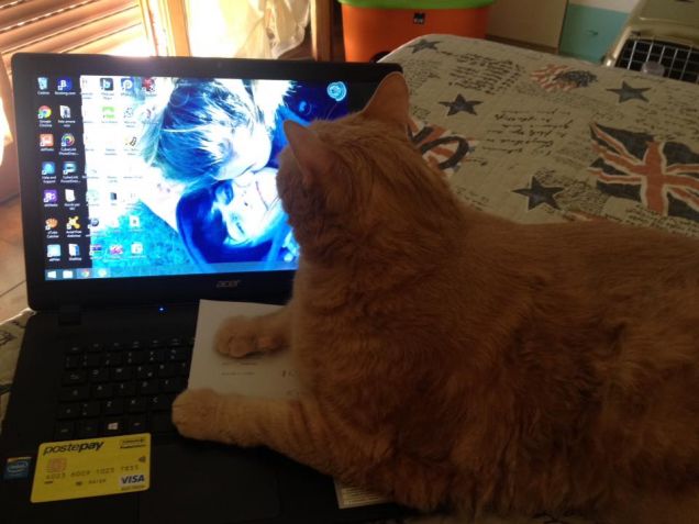 Che bello usare il pc!