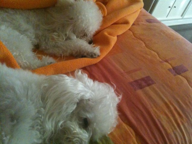 Maya e Trudy