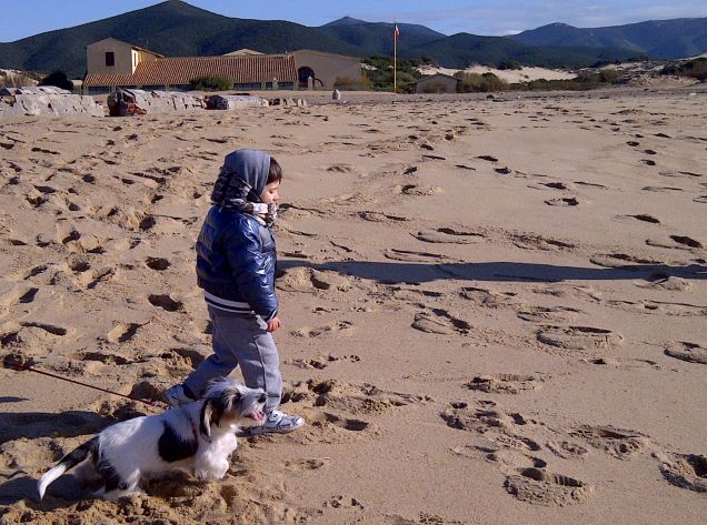 Zorro a Piscinas con Leonardo