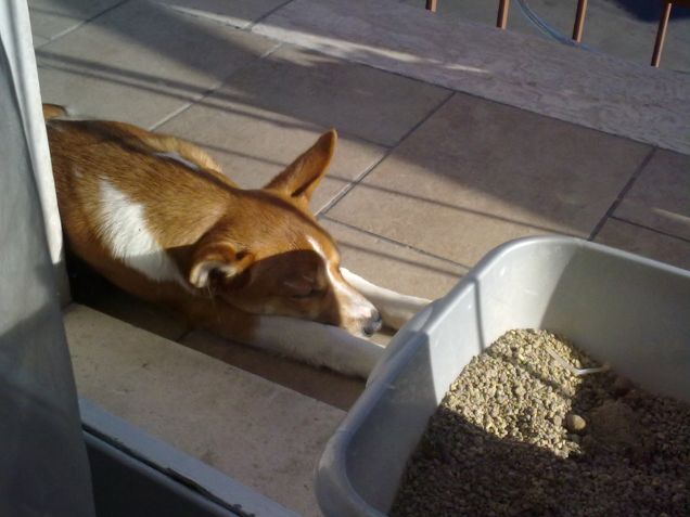 Lulù al solarium :D