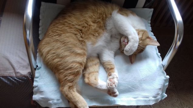 Che noia questa luce 