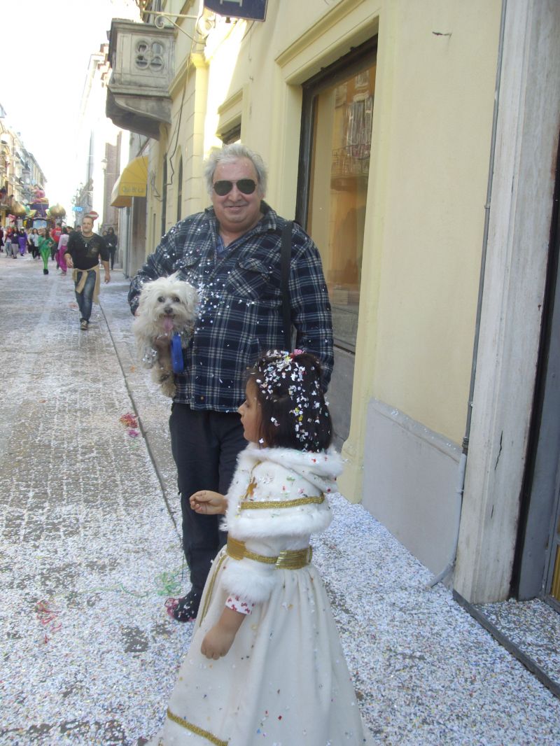 maltese  pedigree cerca compagna per fare cucciolini a vercelli e prov