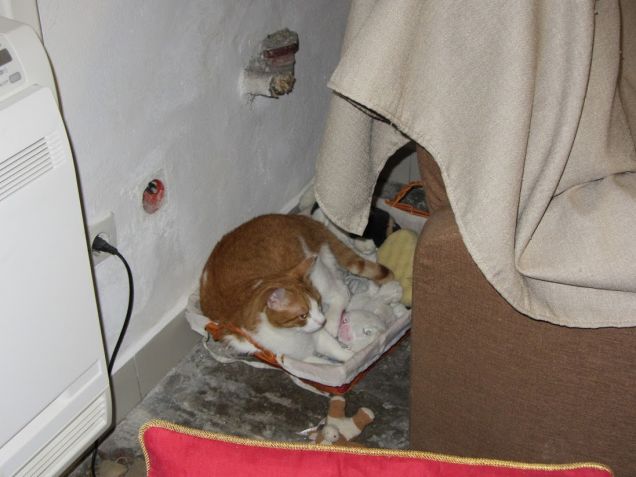 Oscar nel cesto dei giochi