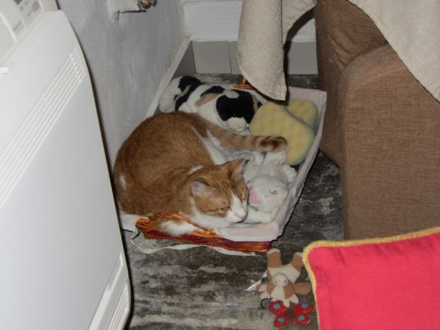 Oscar nel cesto dei giochi