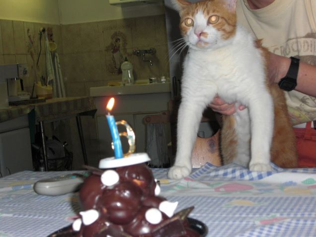 Il sesto compleanno di Oscar