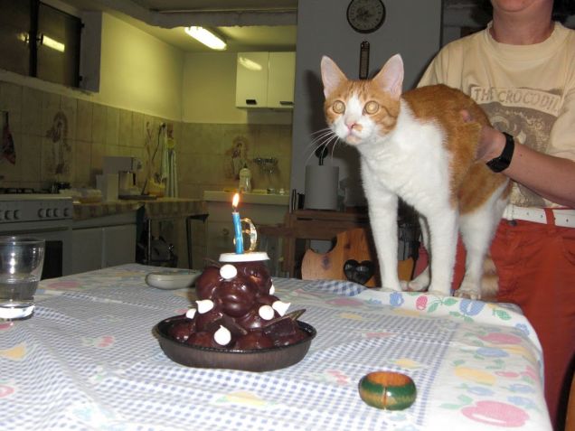 Il sesto compleanno di Oscar