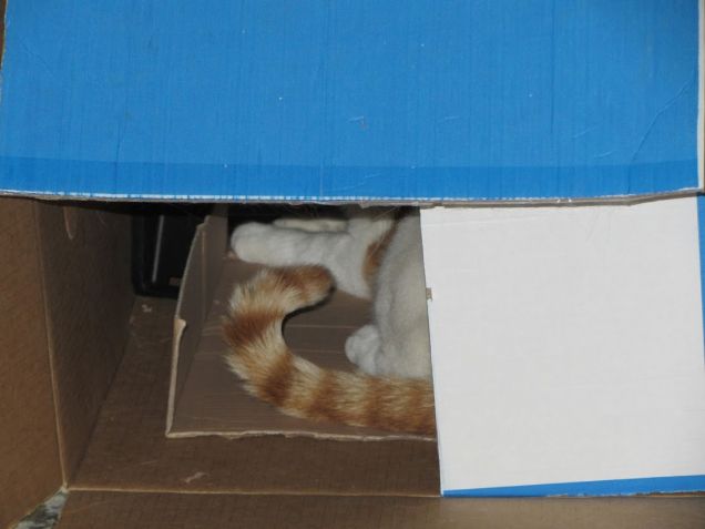 Oscar nello scatolone