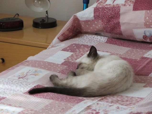 Arthurino fa la nanna