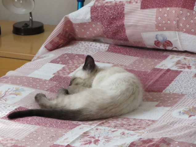 Arthurino fa la nanna