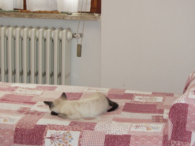 Arthurino fa la nanna