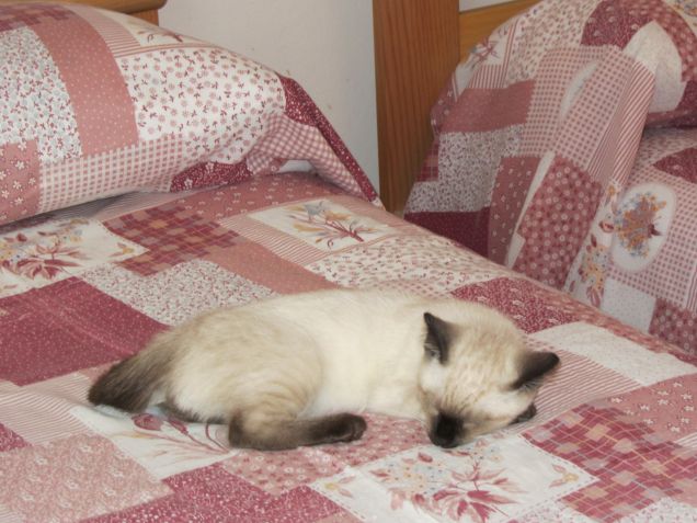 Arthurino fa la nanna