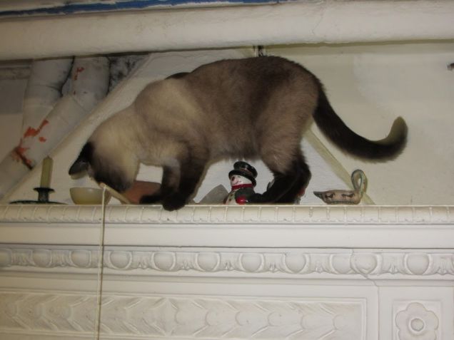 Arthur sopra il camino