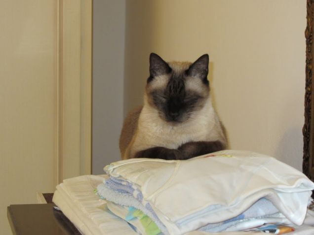 Arthur sdraiato sui panni stirati 