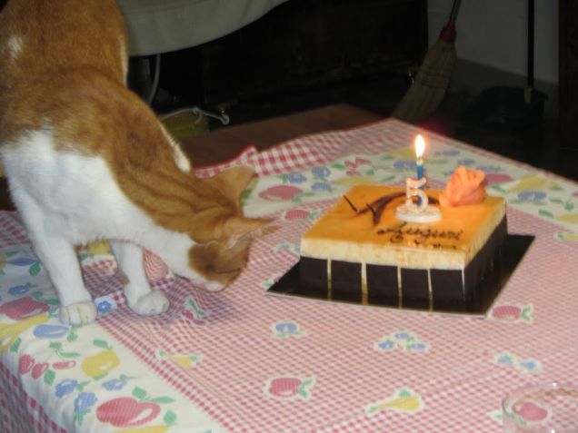 Oscar e la torta per il suo quinto  compleanno