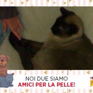 Io e Arthur