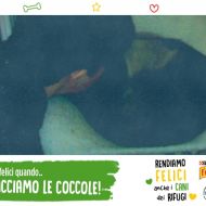 Sempre insieme