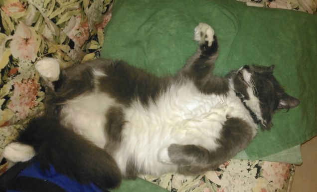 più rilassato di così...