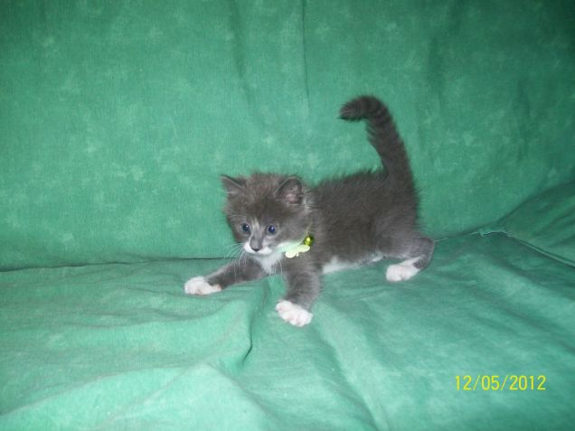 Era piccolo e pauroso...